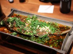 香辣炝锅鱼-树厨地道黔菜(凯里韶山南路店)