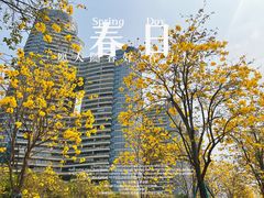 -洲头咀公园