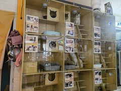 -平行世界·猫咖(首经贸店)
