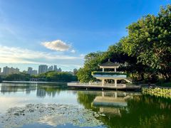-荔枝公园(福田区)