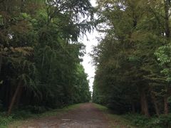 -上海海湾国家森林公园