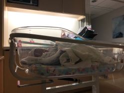 -杭州贝瑞斯美华妇儿医院·早孕·产检·儿科