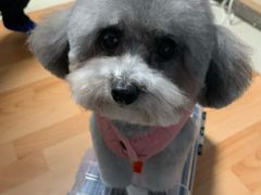 -PETKIT小佩宠物(古北店)