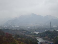 -新建村梅花