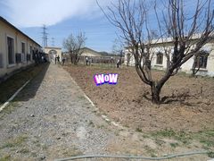 -北京群众马术培训基地