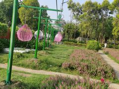 -广东花都香草世界旅游度假区