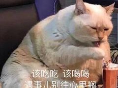 -凤栖梧(兰州中心店)