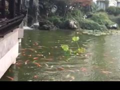 -苏苑饭店-中餐厅(长桥地区店)