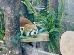 -石排湾郊野公园