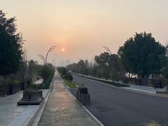 -三垟湿地