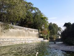-成都动物园