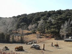 -沈阳森林动物园