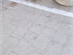 -清真烧麦馆(民族路店)