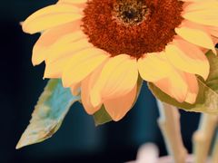 -翠湖宾馆·中餐厅