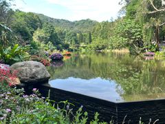-深圳仙湖植物园