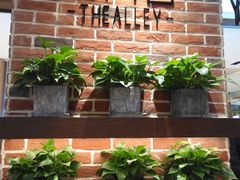 -鹿角巷The Alley(龙湖天街店)