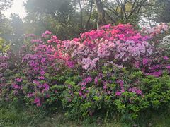 -重庆平顶山公园
