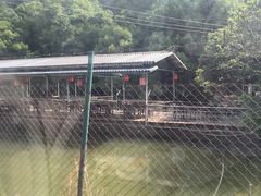 -水库河鲜村