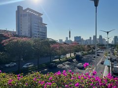 -必胜客(航洋国际店)