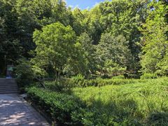 -上海佘山国家森林公园天马山园