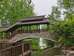 -合肥滨湖国家森林公园