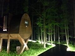 -黄海国家森林公园