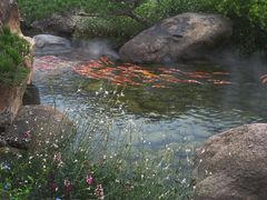 -罗红摄影艺术馆