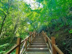 -大岭沟猕猴桃谷风景区