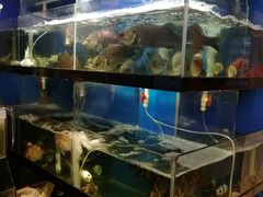 水产区-美味海鲜大排档(明发美食地标店)