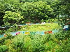 -十渡东湖港风景区