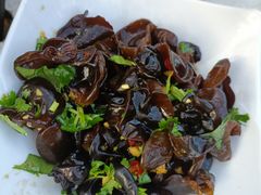 -墨脱石锅椰子鸡•香草鸭•东山羊(大东海店)