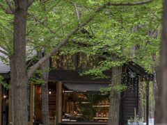 -长白岛森林公园