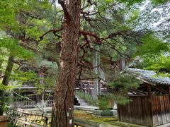 -清凉寺