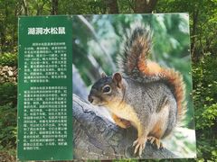 -湖洞水自然风景区