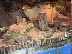 -正佳雨林生态植物园