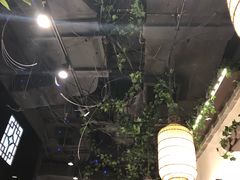 -七宝老街汤团(上海世纪汇广场店)