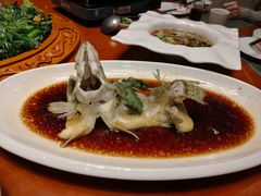 -荔枝苑养生餐厅(尊尚领地店)