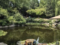 -三忘湖 SWANSEEN(柳荫公园店)