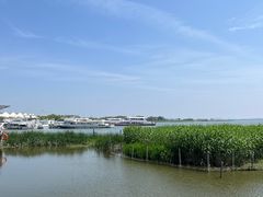 -阳澄湖半岛旅游度假区
