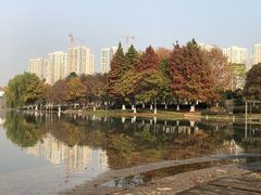 -白塘生态植物园