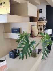 点击看大图 -OM瑜伽教练培训学院