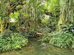 -华南国家植物园-售票处