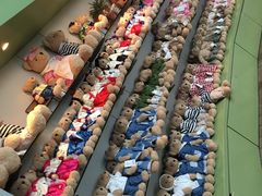 -济州岛泰迪熊博物馆