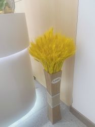 -康美贞·痘肌养护管理中心
