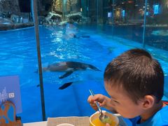 -帝企鹅自助餐厅•儿童岛•真企鹅(长隆企鹅酒店)