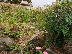 -广州神农草堂中医药博物馆