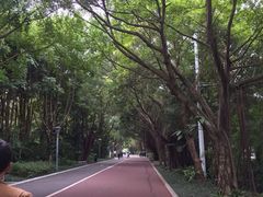 -南宁南湖公园