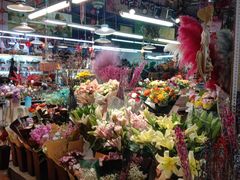 -大自然花鸟鱼虫市场