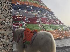-日月山景区