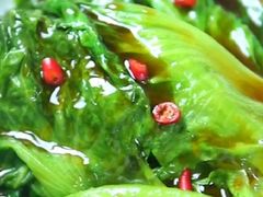 蚝油生菜-必点海鲜·鲅鱼水饺(鞍山西道店)